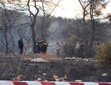 Πυρκαγιά Αγ. Θεοδώρους: Συνελήφθη ιδιοκτήτης θερμοκηπίου ως υπαίτιος για την φωτιά
